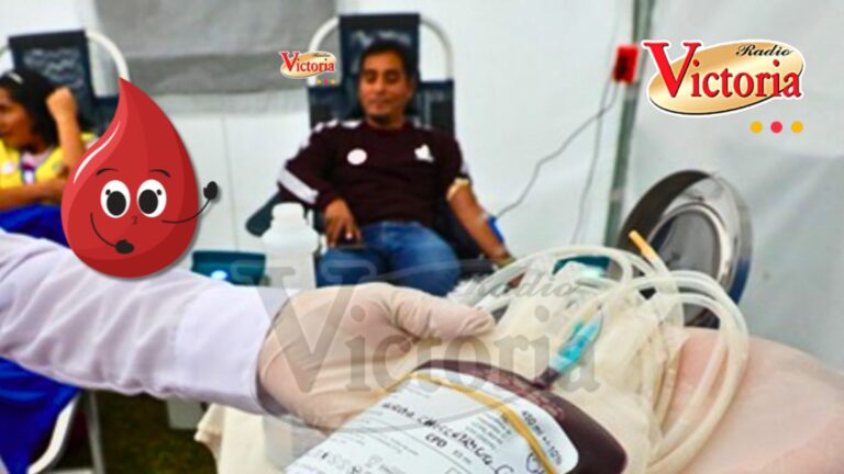 Hoy: día mundial del donante de sangre