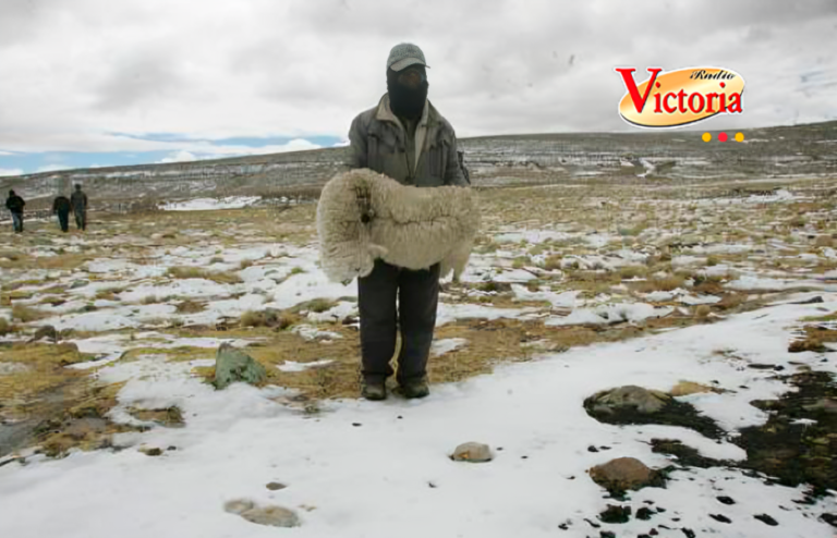 Arequipa: Este será uno de los inviernos más fríos de los últimos años