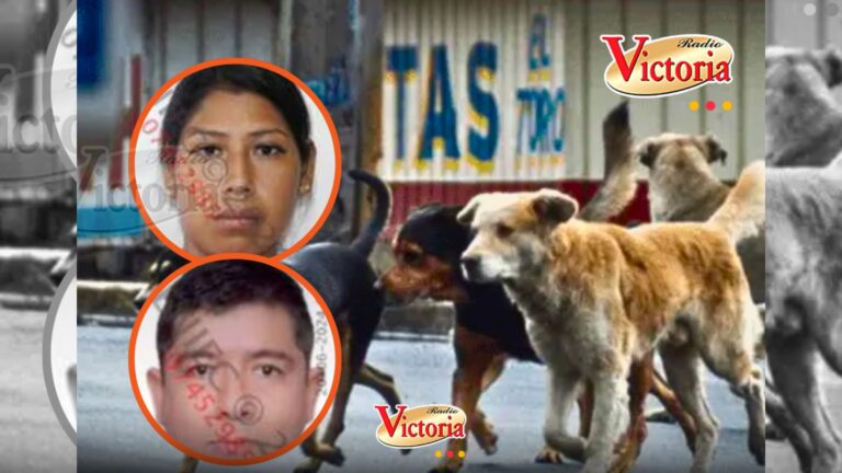 Hombre patea a embarazada de 6 meses que defendió a perritos callejeros