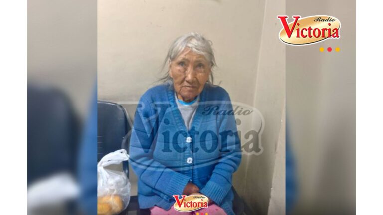 Arequipa: buscan a familiares de ancianita en Miraflores