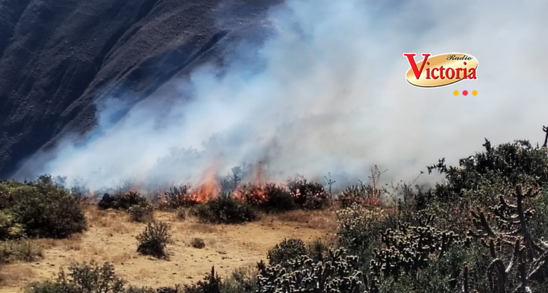 Arequipa: Reportan incendio forestal el sector Ccaccianca (Cotahuasi)