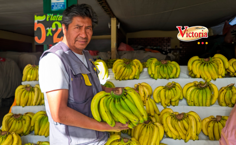 Arequipa: Por Fiestas Patrias regalarán 15 mil frutas en Río Seco