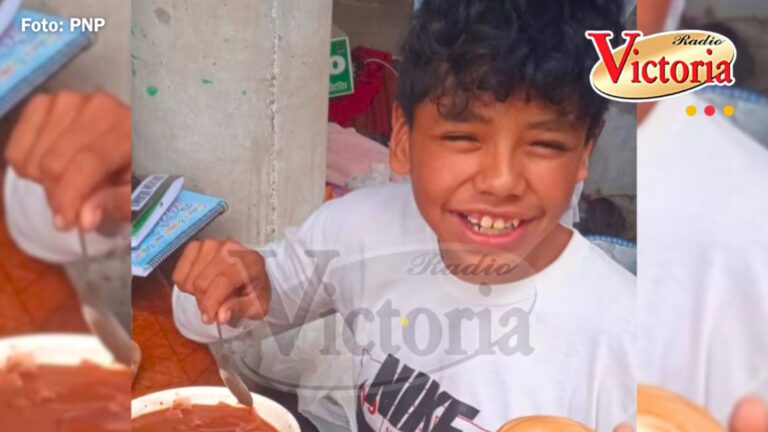 Arequipa: aparece niño con autismo que se extravió en el Avelino