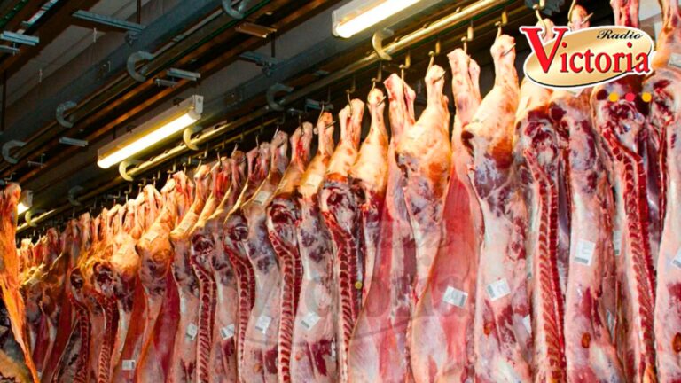 Arequipa: carne de cerdo subiría por aumento de servicios del camal municipal