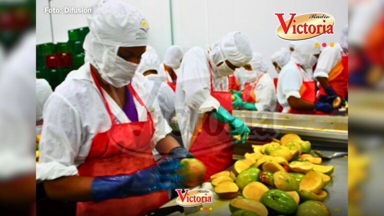 Perú se prepara a exportar fruta congelada a China: «Paltas, arándanos y mangos»