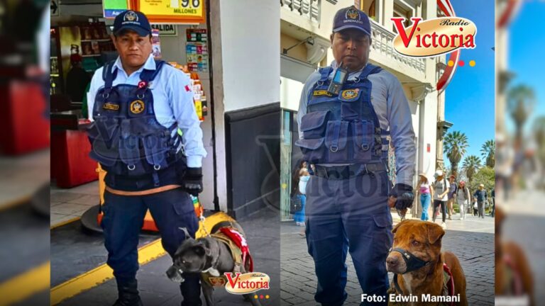 Canes callejeros se suman al serenazgo de Arequipa tras meses de entrenamientos