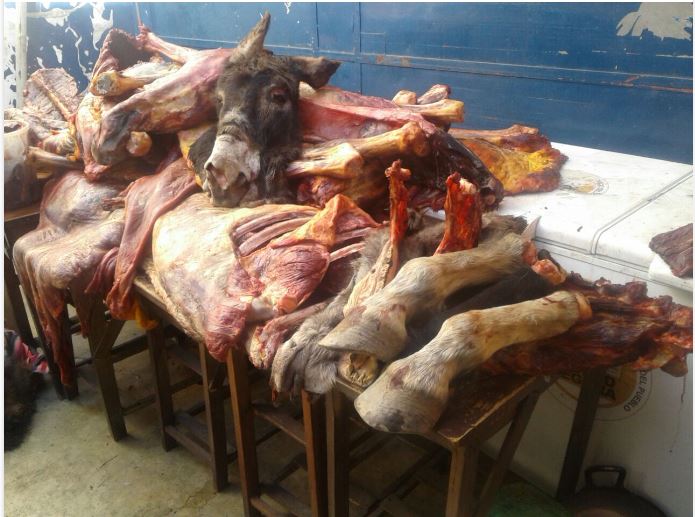 Perú proyecta exportar carne de burro a China