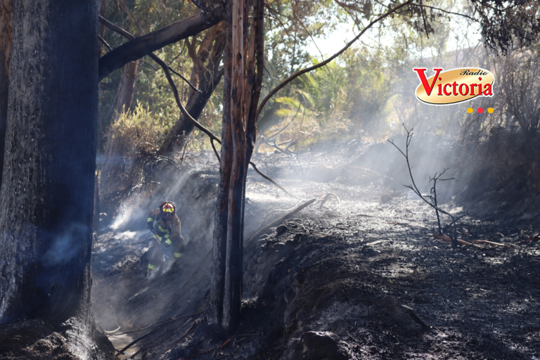 Controlan incendio forestal en el sector de Agua Salada (Chiguata)