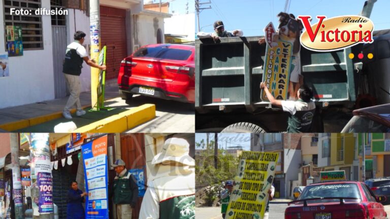 Arequipa: decomisan 173 letreros que invadían vías públicas