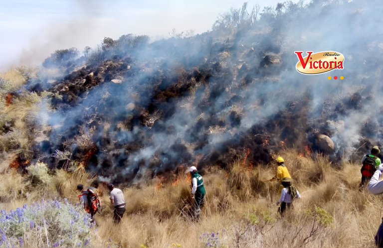 Arequipa: Senamhi advierte riesgo de incendios forestales en seis provincias de la región