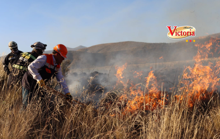 Arequipa: Continúan labores para sofocar incendio forestal en Characato