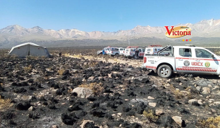 Controlan incendio forestal en Characato y Pocsi e inician cuantificación del área afectada