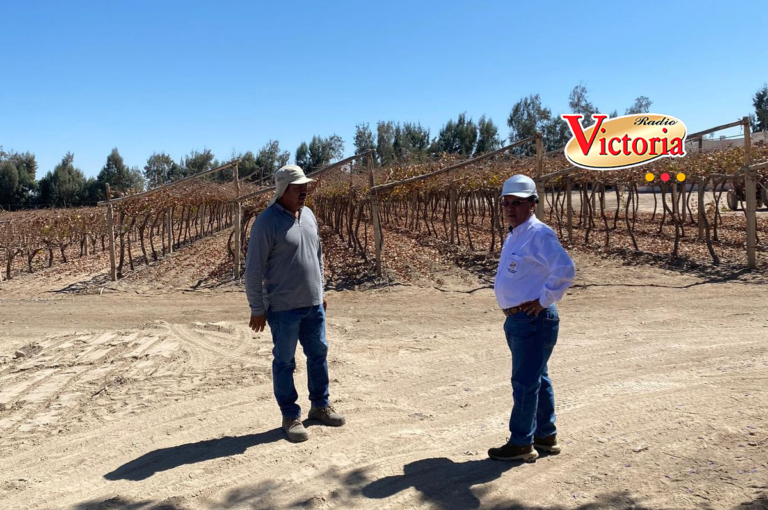 Denuncian que el GRA le debe a AUTODEMA por la compra de más de 2 botellas de vino