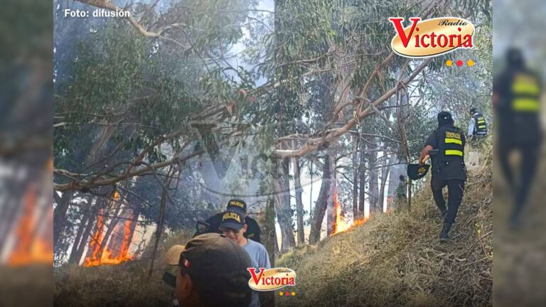 Arequipa: reportan incendio forestal en Chiguata