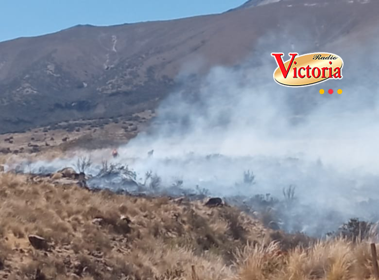 COER reporta incendio forestal en el distrito de Characato