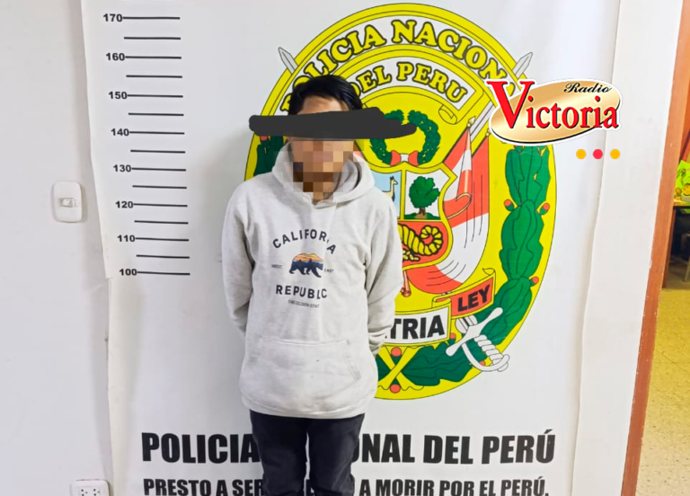 Arequipa: Detienen a sujeto que se negó a intervención y agredió a un policía