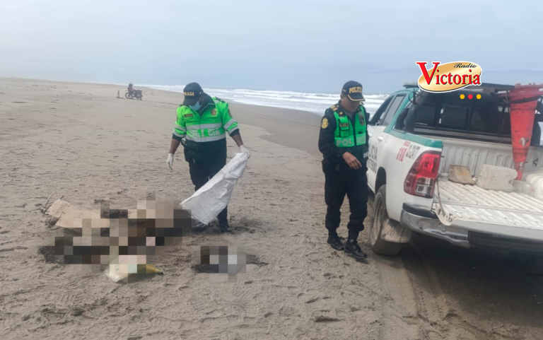 Hallan cadáver de un varón en playa de Mariscal Cáceres (Camaná)