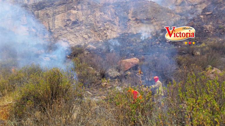 Reportan incendio forestal en el sector La Calera en Chivay