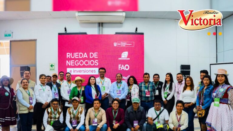 Rueda de negocios en Alpaca Fiesta 2024 busca invertir en ganadería camélida