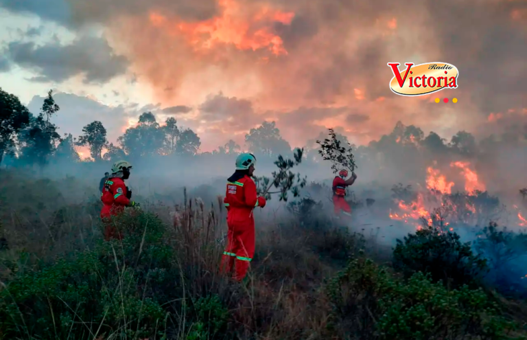 1,754 incendios forestales en lo que va del año ocasionaron 35 muertes