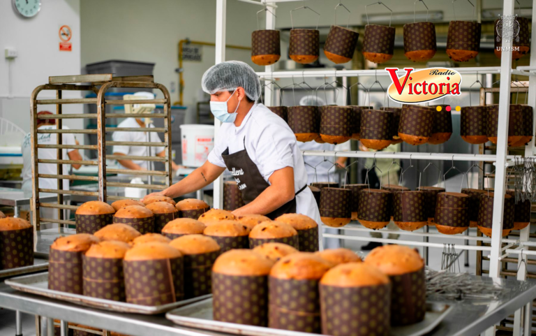 Arequipa: Panaderías del Cercado en la mira por irregularidades sanitarias previas a navidad