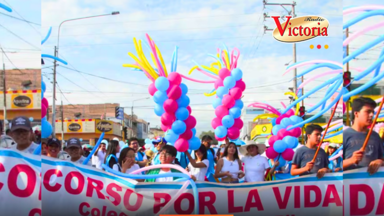 Arequipa: celebrarán corso por la vida y la familia este 29 de marzo