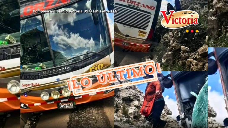 Bus de transporte Zolorzano sufre accidente en Juliaca – Arequipa