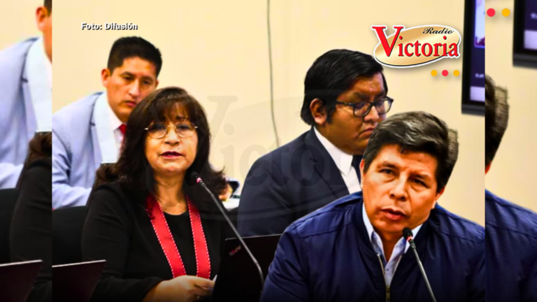 Fiscal que acusó a Pedro Castillo deja el Ministerio Público