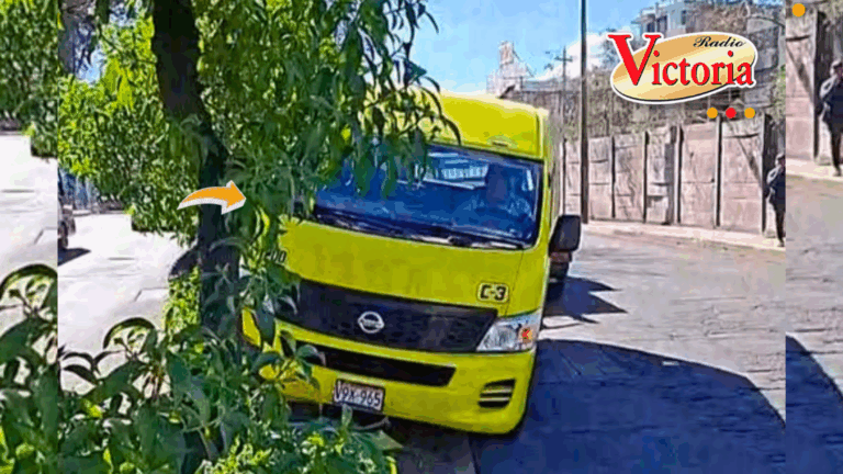 Combi de Cayma se despista e impacta con árbol en plena avenida Venezuela de Arequipa