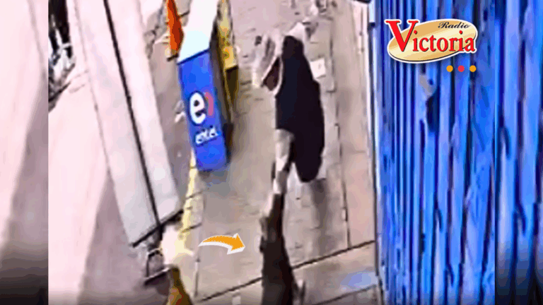 Perro ataca brutalmente a adulto mayor en Villa Eléctrica: «Le rasgó el brazo»