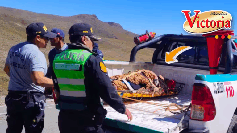 ¡Milagro! Caen a barranco de 150 metros y sobreviven en el Colca
