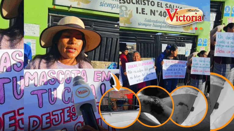 Niña es atacada por perro en Cerro Colorado y exigen sacrificar can