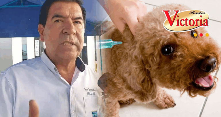 Bustamante y Rivero acelera obras viales, mejora parques y lanza campaña gratuita de vacunación canina