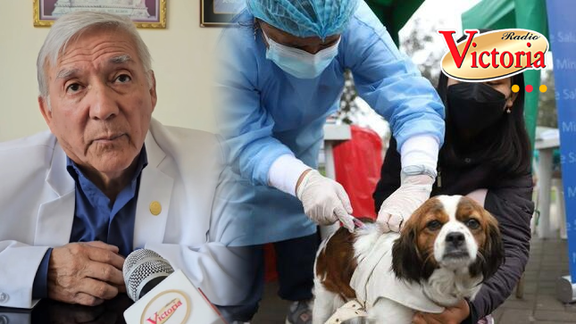 Preocupación en Cayma por baja participación ciudadana en campaña de vacunación canina