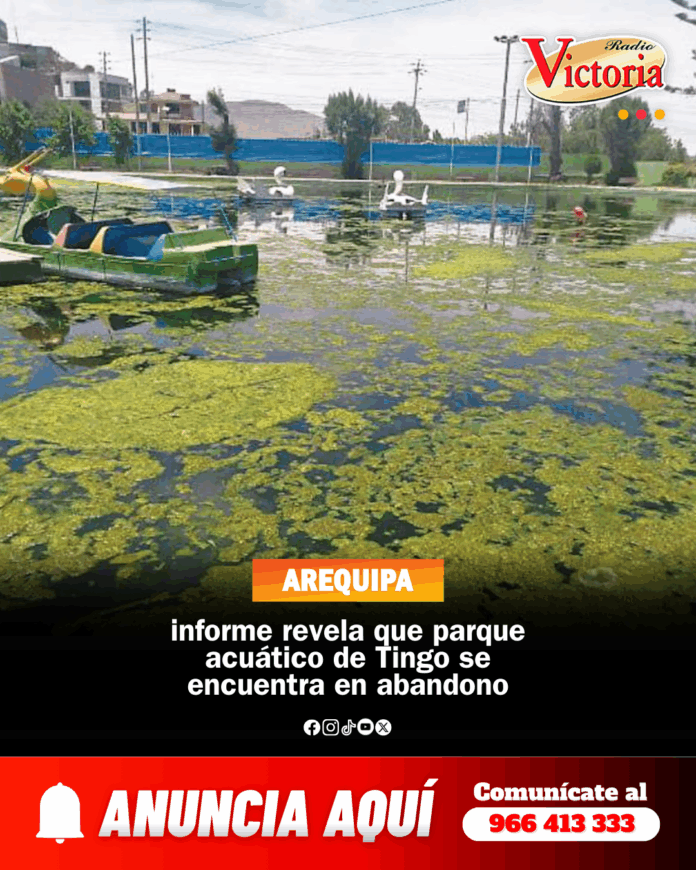 OFICINA NUEVO POST ENERO 2026 (41)