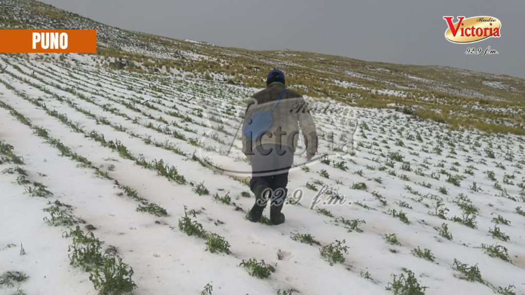 La imagen actual no tiene texto alternativo. El nombre del archivo es: Copia-de-PORTADA-WEB-LOS-ANDES-6-1.png