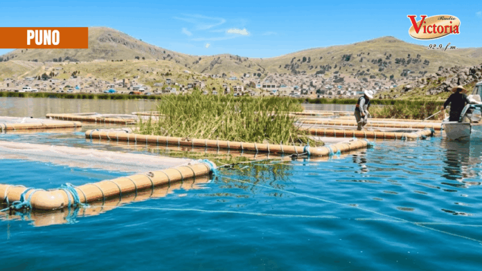 Copia de PORTADA WEB LOS ANDES (18) (2)