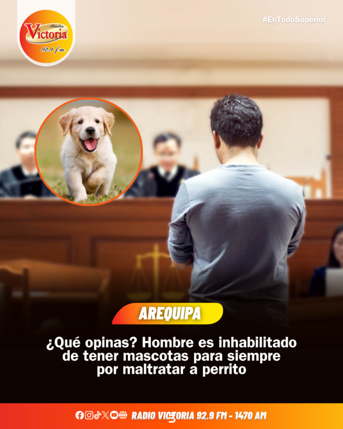 FINAL DEL FINAL (4)
