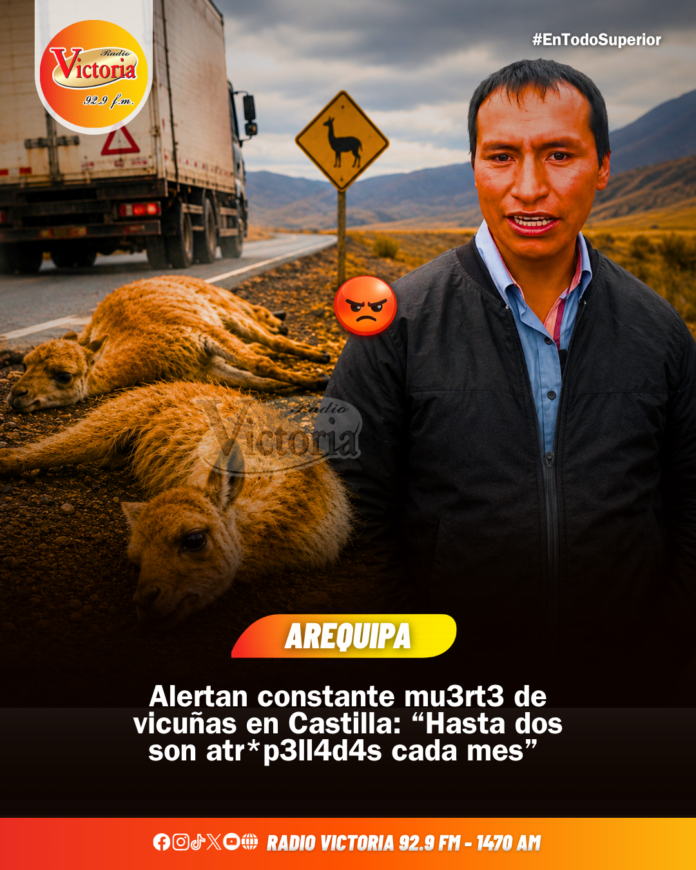 SOLO MILUZ POST ENERO 2026 - 2026-05-15T105930.480