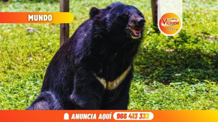 Nueva portada web RV (6)