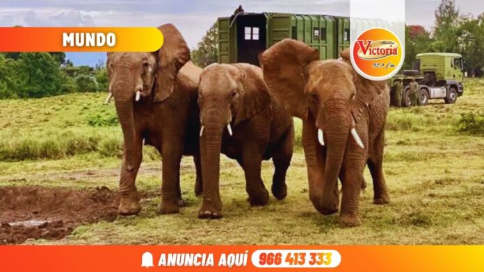 Nueva portada web RV (17)