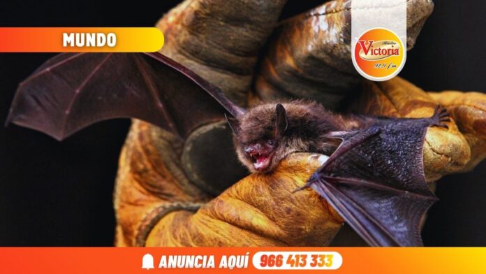 Nueva portada web RV (7)