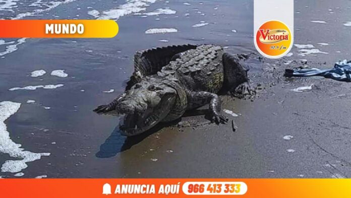Nueva portada web RV (9)