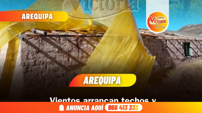 Copia de EDITORES 2026 NUEVA PORTADA PÁGINA WEB RADIO VICTORIA - 2026 (10)