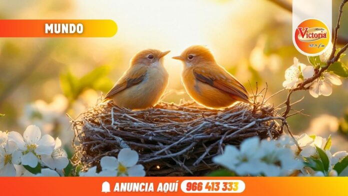 Nueva portada web RV (44)